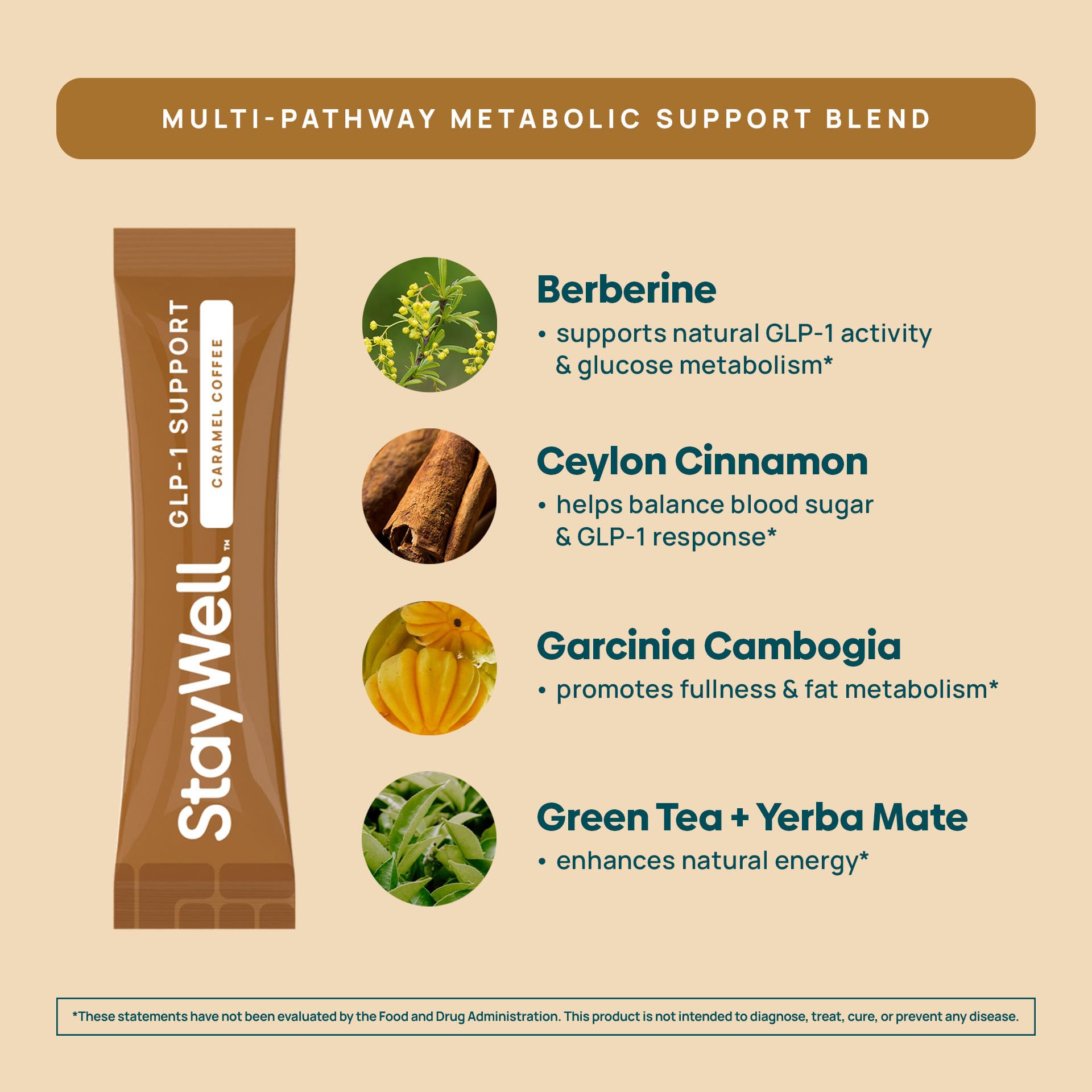 Hojas de yerba mate y extractos botánicos que ilustran el respaldo natural de Stay-Well