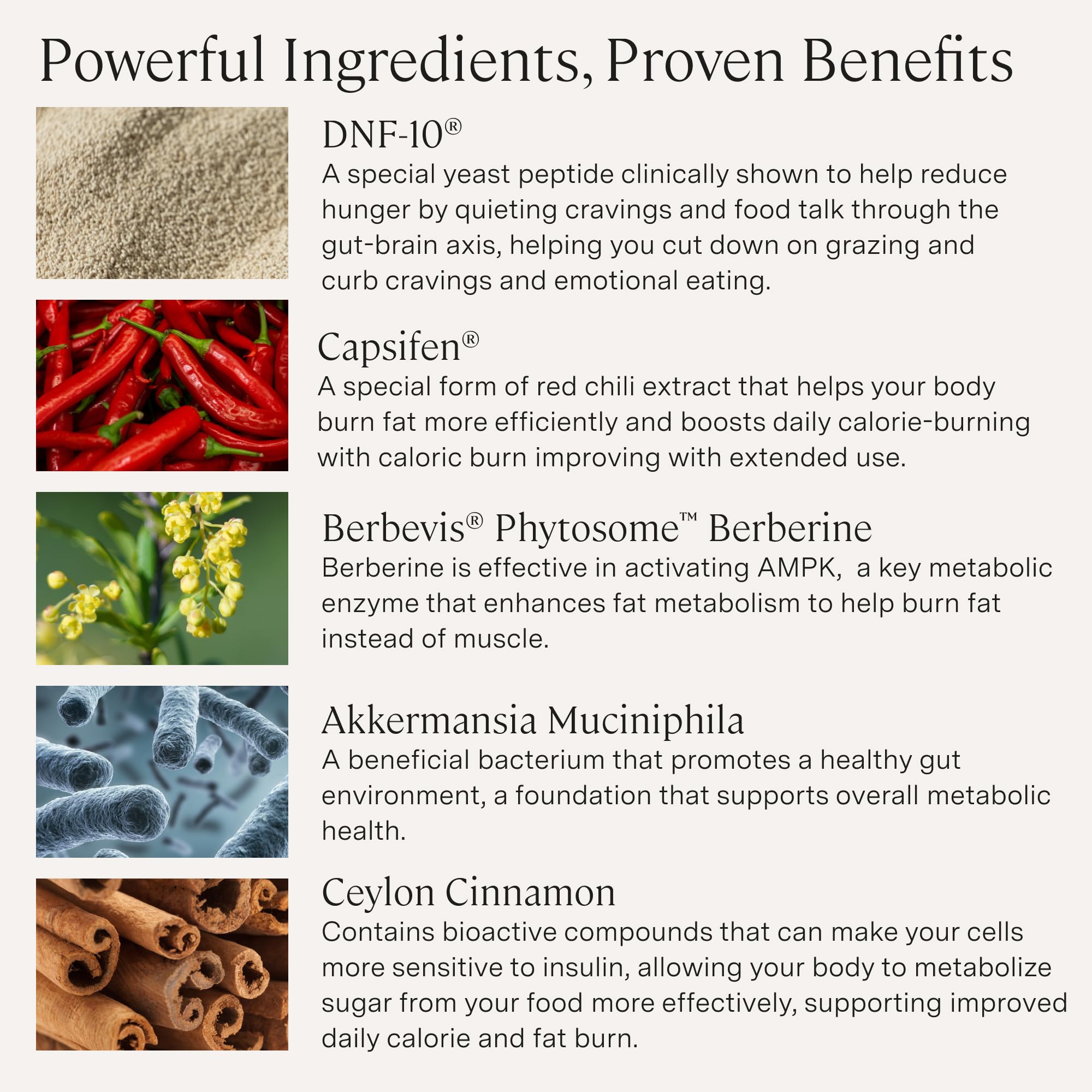 Stonehenge Health etiqueta nutricional clara y lista de ingredientes