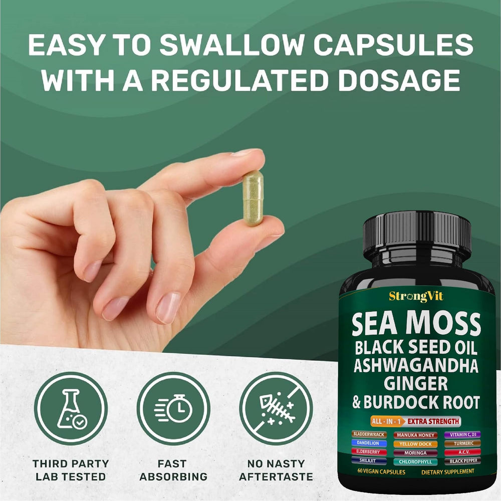 Polvo de Irish seamoss en primer plano mostrando apariencia natural y pura