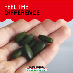 Sun Chlorella proceso de pulverización de la pared celular y calidad