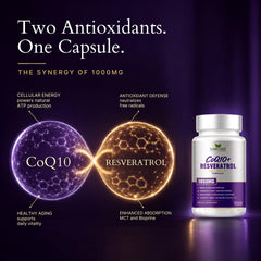 Sundhed Natural representación de CoQ10 y resveratrol ilustrando ingredientes clave