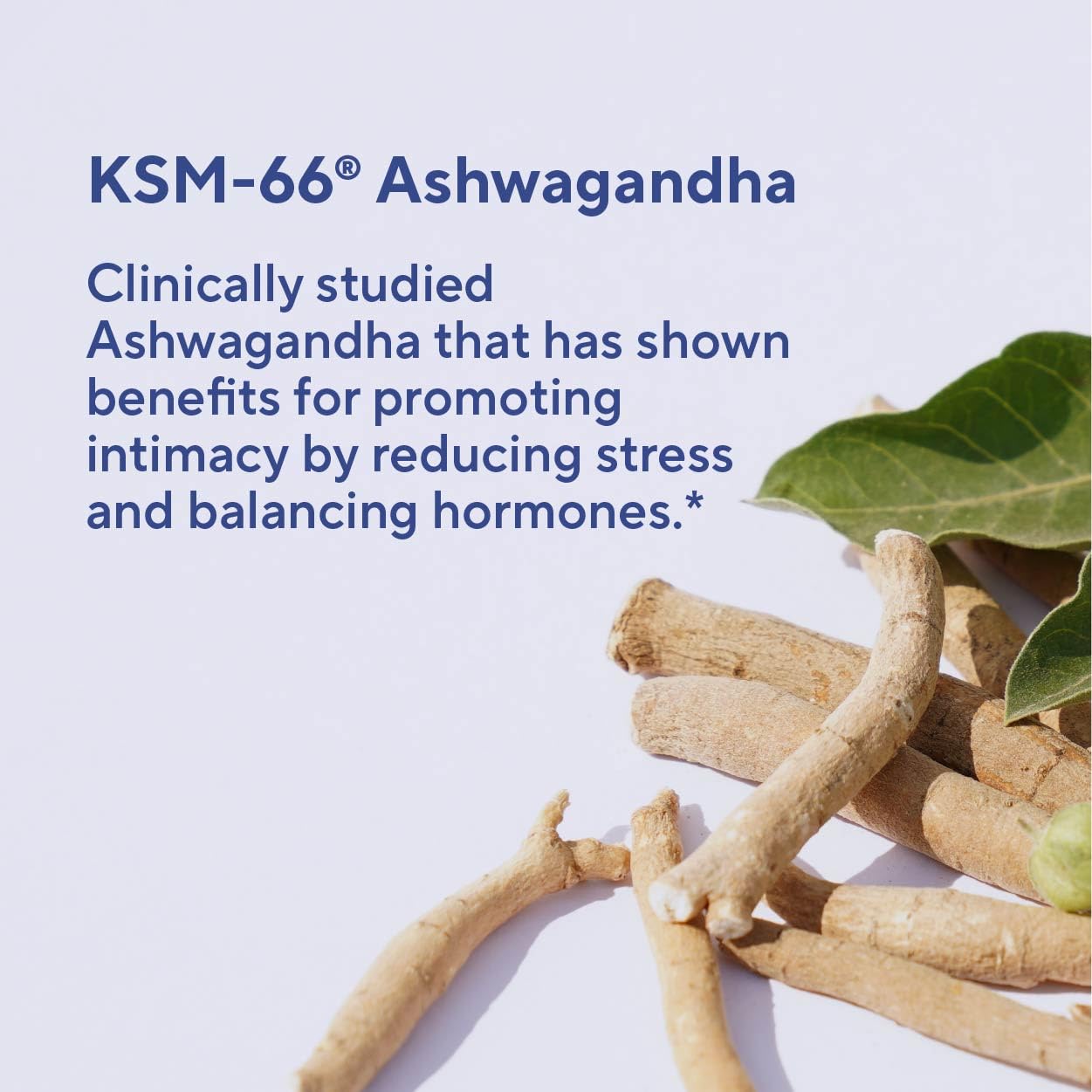 Sunergetic ingredientes ashwagandha, maca y slippery elm visibles, apoyo botánico