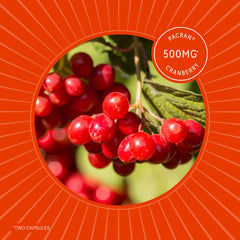 Sunergetic raíz-jengibre: aroma picante para la rutina diaria.