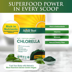 Polvo de chlorella Sunlit Best primer plano que muestra textura fina y calidad
