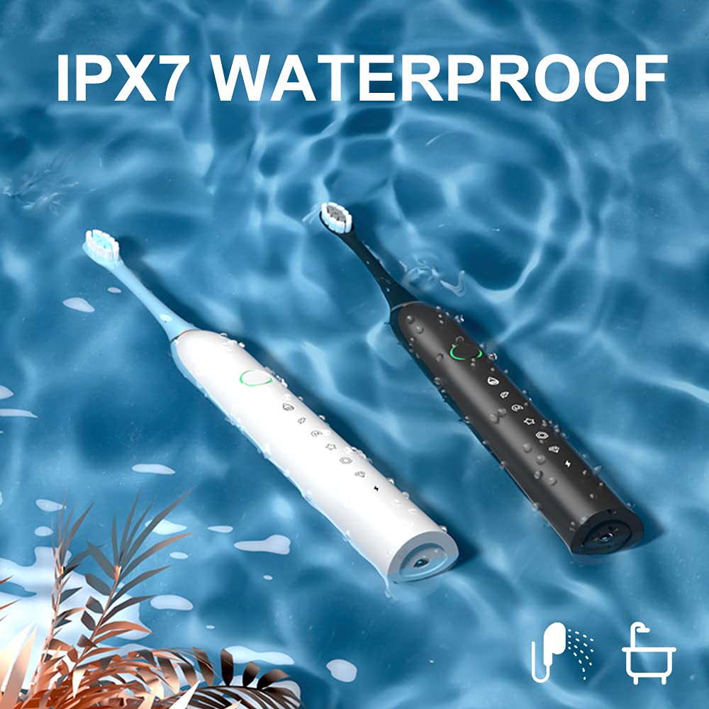 SUNPRO accesorios: cables USB y ocho cabezales para reemplazo fácil
