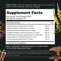SuperBonsai imagen lifestyle con producto en ambiente de bienestar