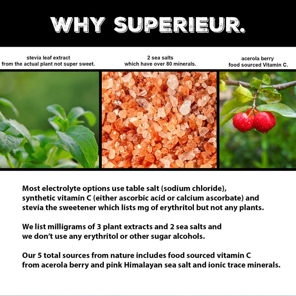 Superieur etiqueta de ingredientes destacando minerales marinos y plantas