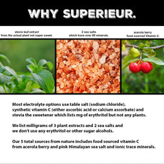 Superieur etiqueta de ingredientes destacando minerales marinos y plantas