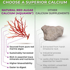 SUPPLEMENTS STUDIO detalle de la etiqueta con ingredientes y certificaciones claras
