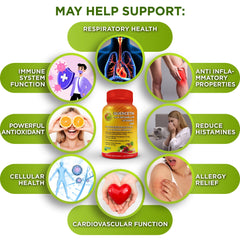 SUPPLEMENTS STUDIO etiqueta nutricional enfocada para ver ingredientes