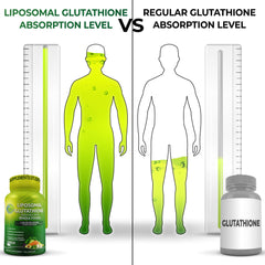 SUPPLEMENTS STUDIO vista de la textura liposomal líquida, estabilidad y protección