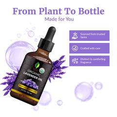 SVA ORGANICS aceite en difusor creando ambiente relajante y fresco