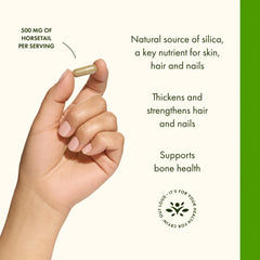 Textura del extracto de horsetail mostrando origen vegetal y beneficio mineral