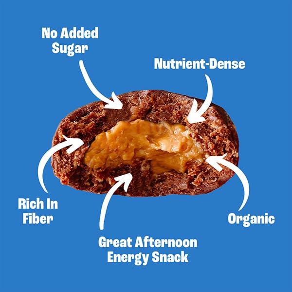 Sweet Nothings Oatmeal Raisin Bites close-up, comforting fiber-rich bite.