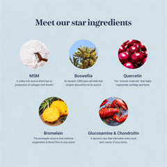 Synocell etiqueta con lista de ingredientes para transparencia y confianza