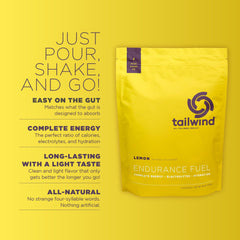 Tailwind Endurance Fuel Lemon vista del polvo, textura fina y fácil disolución