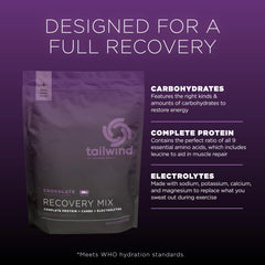 Cuchara medidora con polvo Tailwind Nutrition Chocolate, dosificación precisa y cómoda