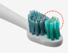 TAO Clean primer plano de las cerdas cóncavas mostrando cuidado suave