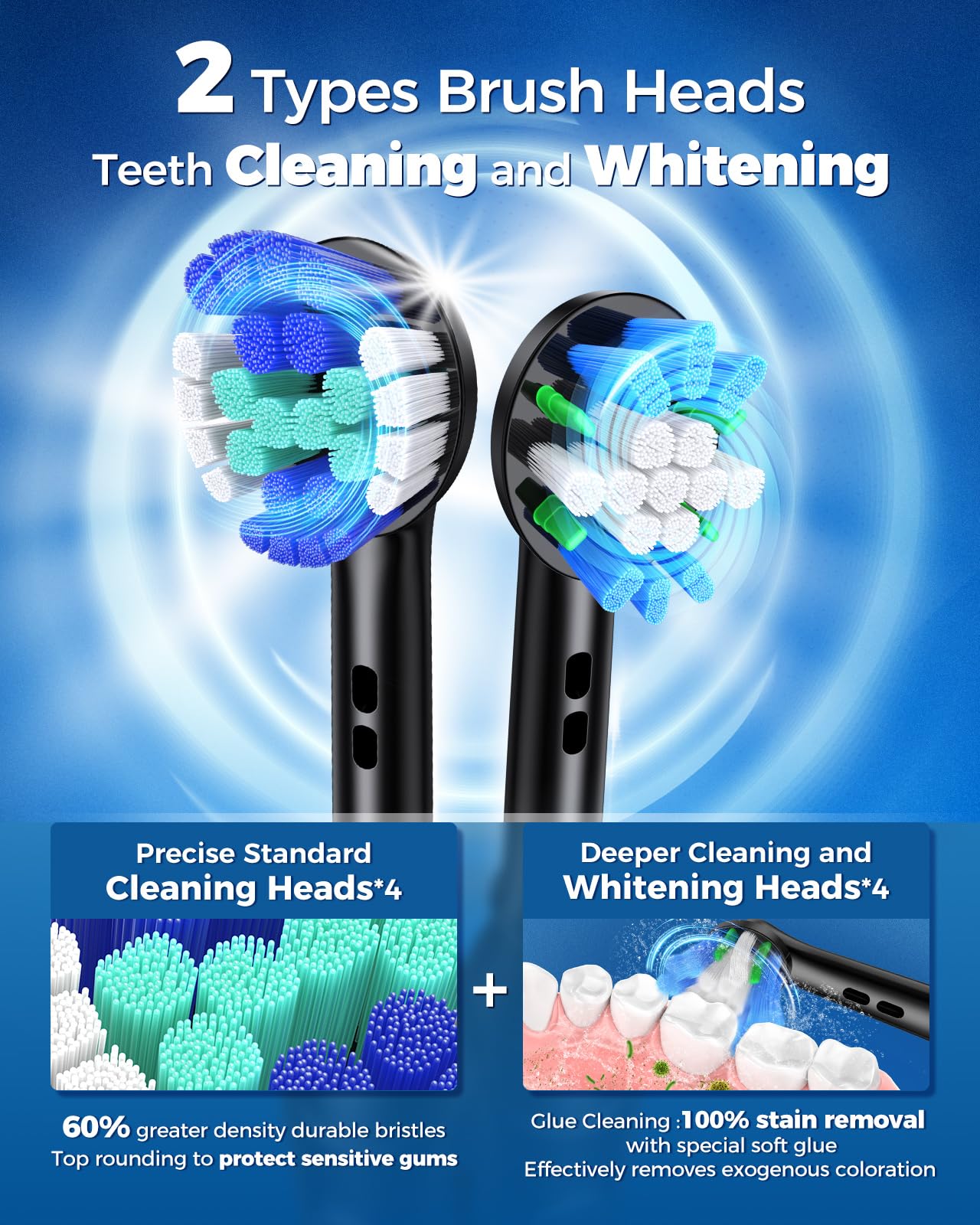 TEETHEORY detalle de las cerdas en arco que mejoran el contacto dental