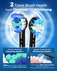 TEETHEORY detalle de las cerdas en arco que mejoran el contacto dental