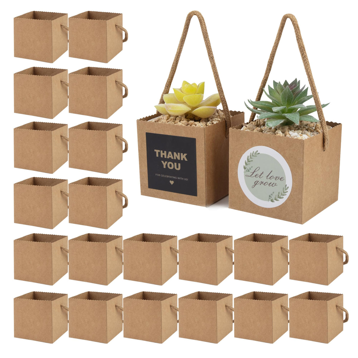 Temlum frente del empaque mostrando 40 bolsas y caja, aspecto profesional