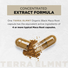 TERRA ELMNT etiqueta detallada con ingredientes y concentraciones