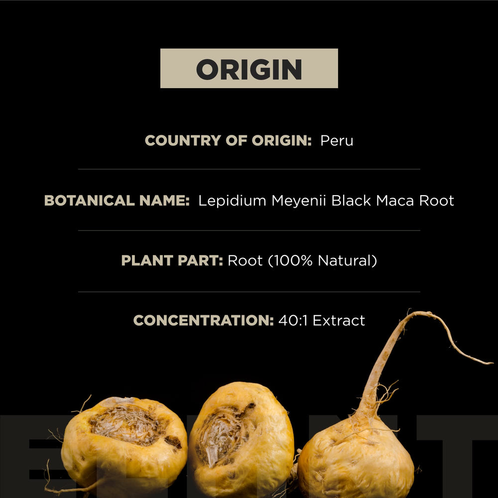 TERRA ELMNT raíz de maca peruana en ambiente natural, origen claro