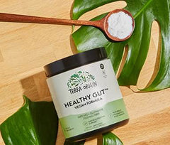 Terra Origin DGL Licorice and Aloe blend bottle promoting digestive comfort.