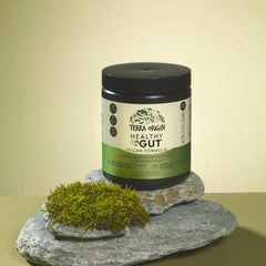 Terra Origin PepZinGI zinc carnosine capsule close-up for gut lining support.