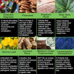 THE ENCLARE NUTRITION etiqueta con ingredientes clave para transparencia y seguridad