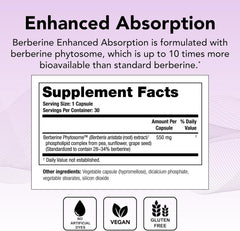 Theralogix Berberine cápsula en mano para visualizar tamaño y facilidad de ingestión