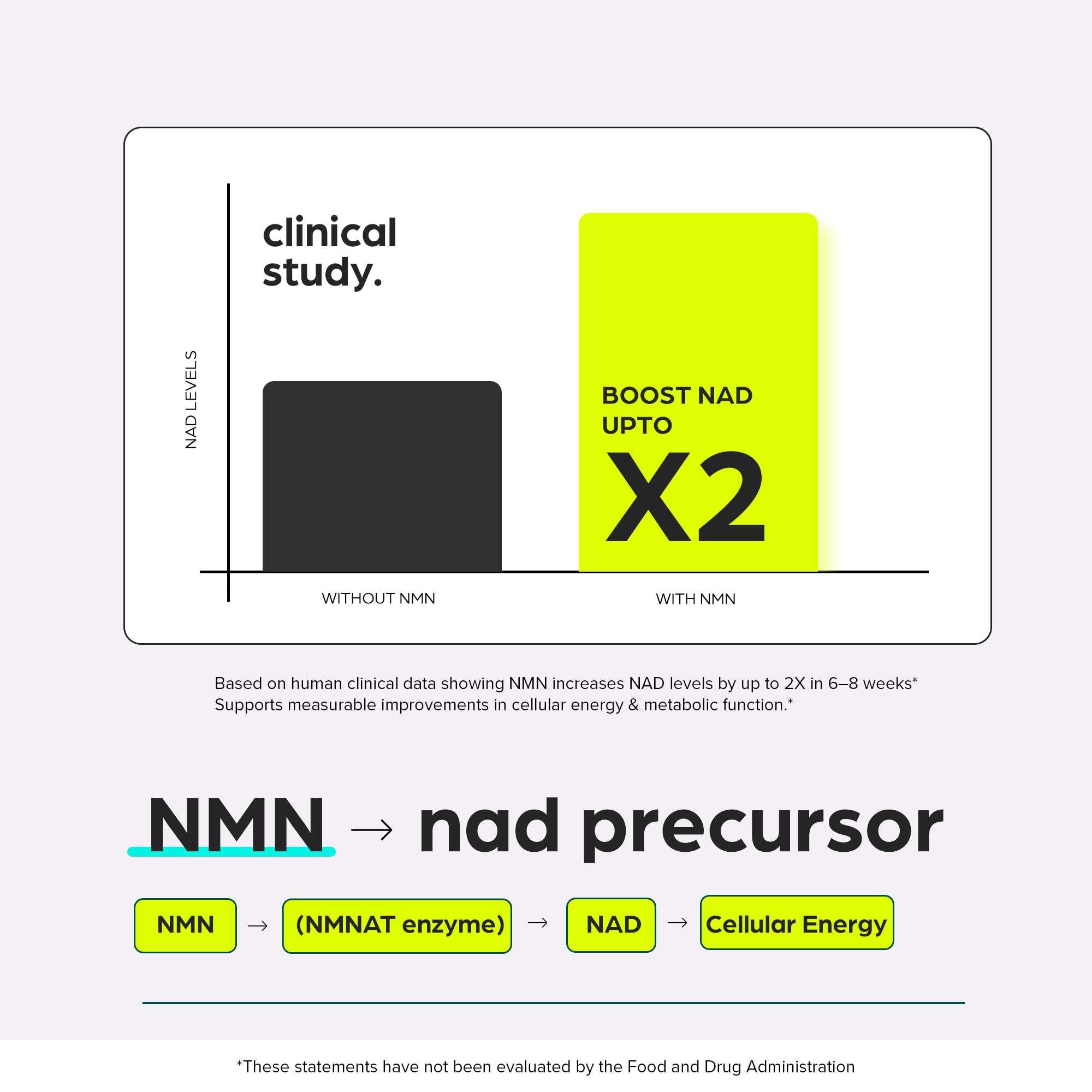 Thinbi cápsula en mano mostrando tamaño y facilidad de ingestión