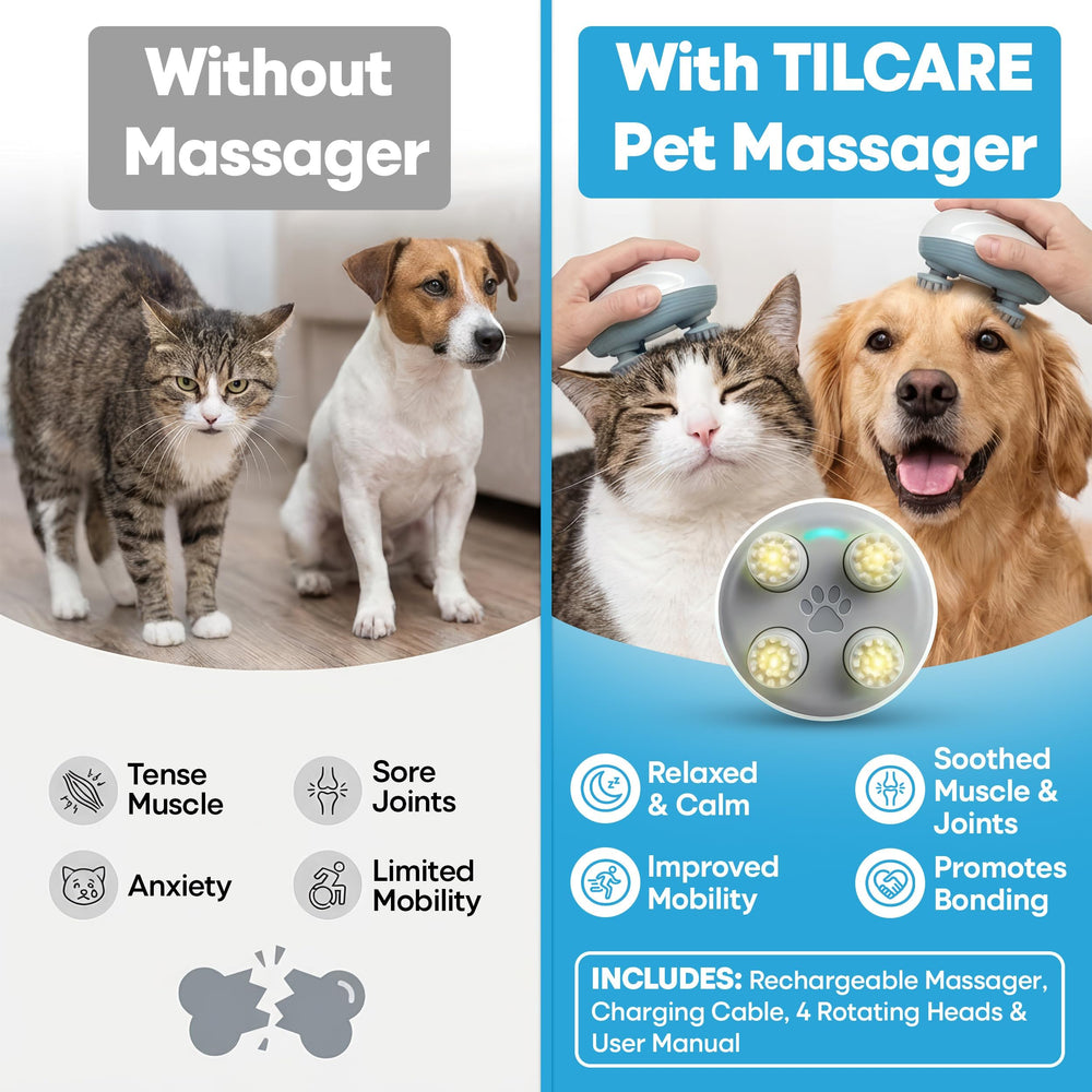 Tilcare en uso en gato disfrutando masaje suave y calmante en la cabeza