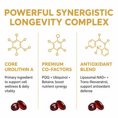 TIME LONG EVITY COMP softgel en mano mostrando tamaño y dosificación práctica