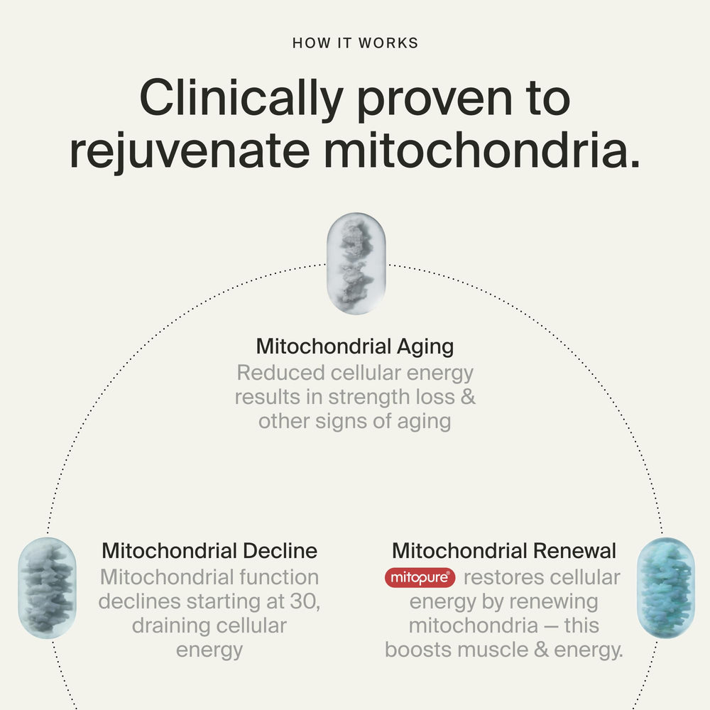Timeline Mitopure cápsulas junto a ingredientes que sugieren pureza y potencia