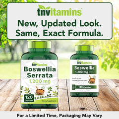 tnvitamins primer plano del extracto en polvo para ver pureza y textura