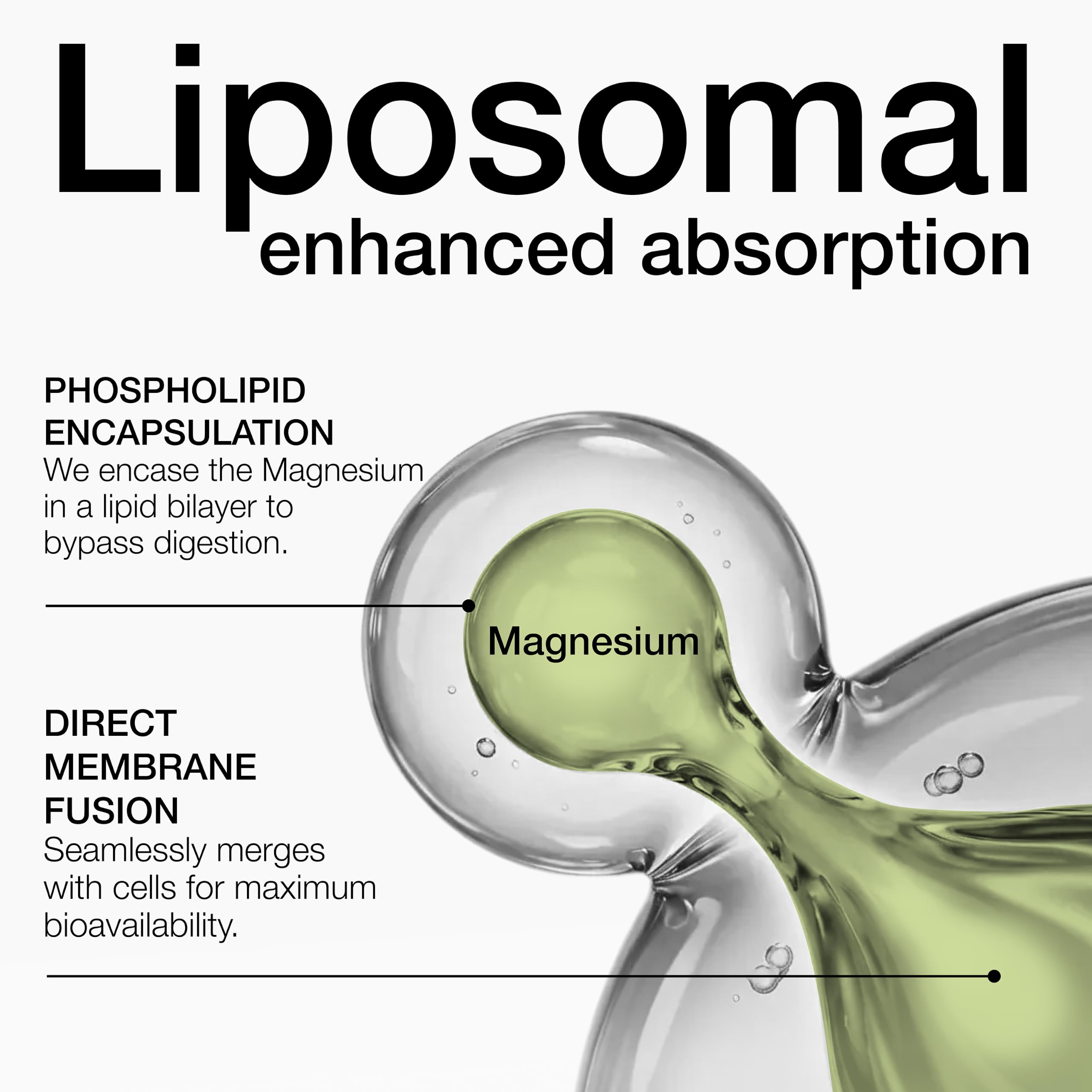 Toniiq polvo o textura de fórmula liposomal para mejor absorción