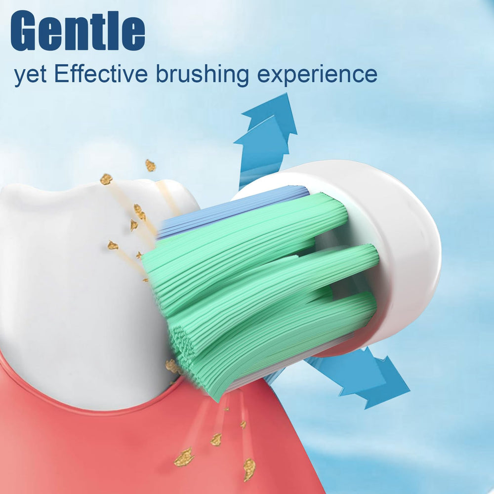 Toptheway comparación de tamaño junto a dientes muestra cobertura