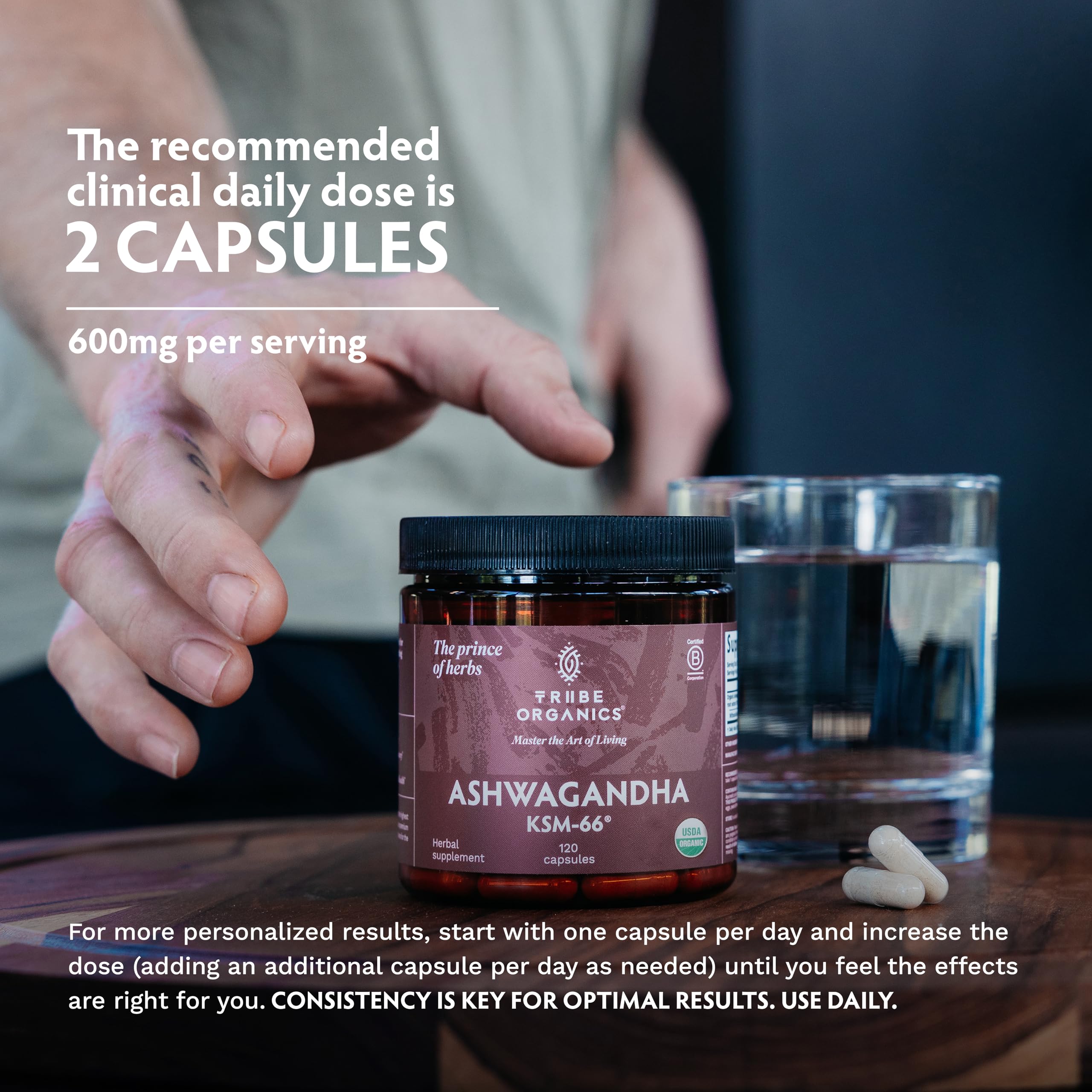 TRIBE ORGANICS etiqueta con información nutricional y estandarización 5%