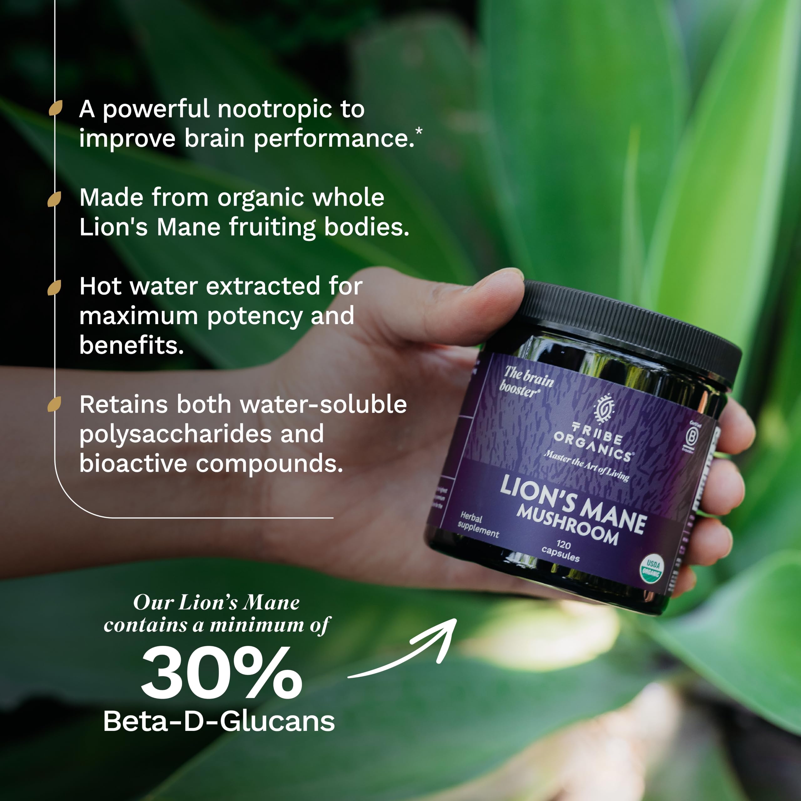 TRIBE ORGANICS cápsulas junto a cuaderno sugiriendo enfoque y productividad