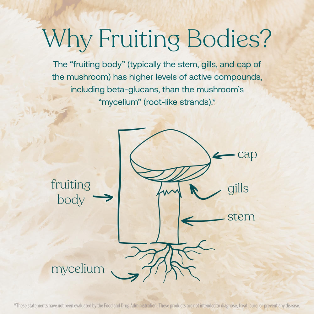 True Grace packaging with recycled bottle for eco friendly choice