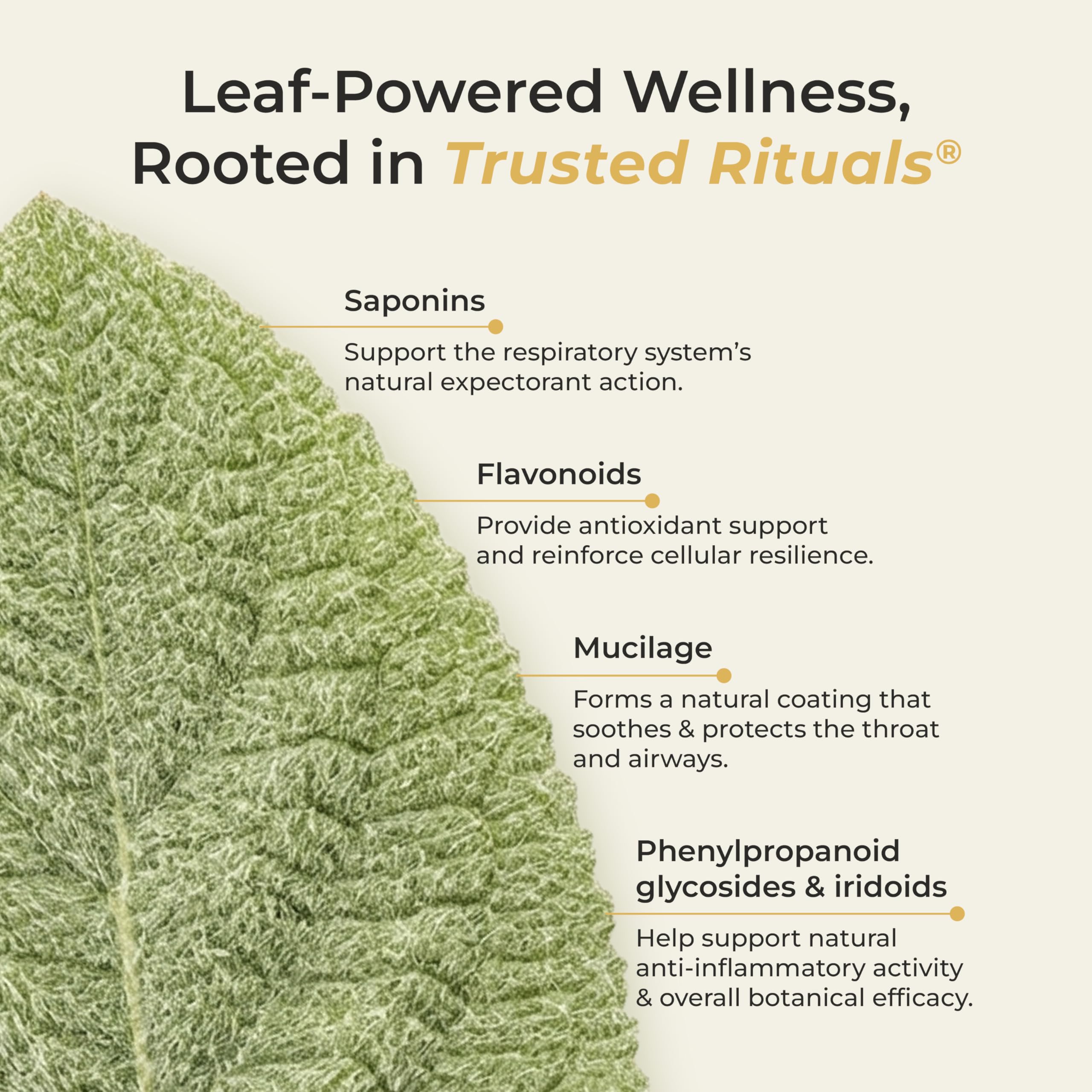 Trusted Rituals stick junto a regla para comparar tamaño y transporte fácil
