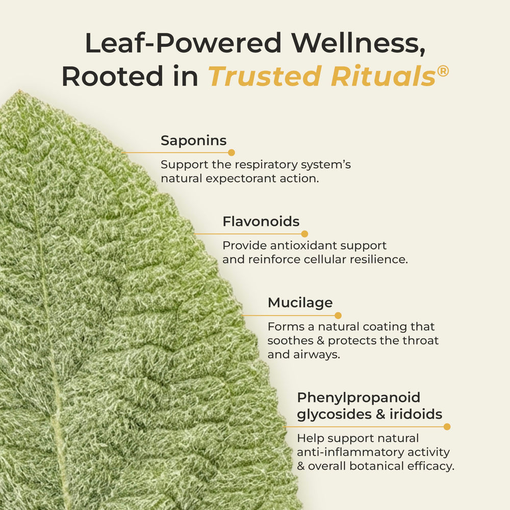 Trusted Rituals stick junto a regla para comparar tamaño y transporte fácil