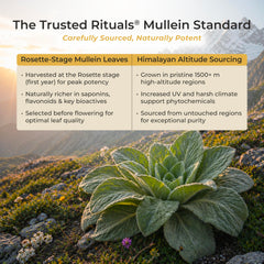 Trusted Rituals stick vertido en taza de té mostrando uso como endulzante