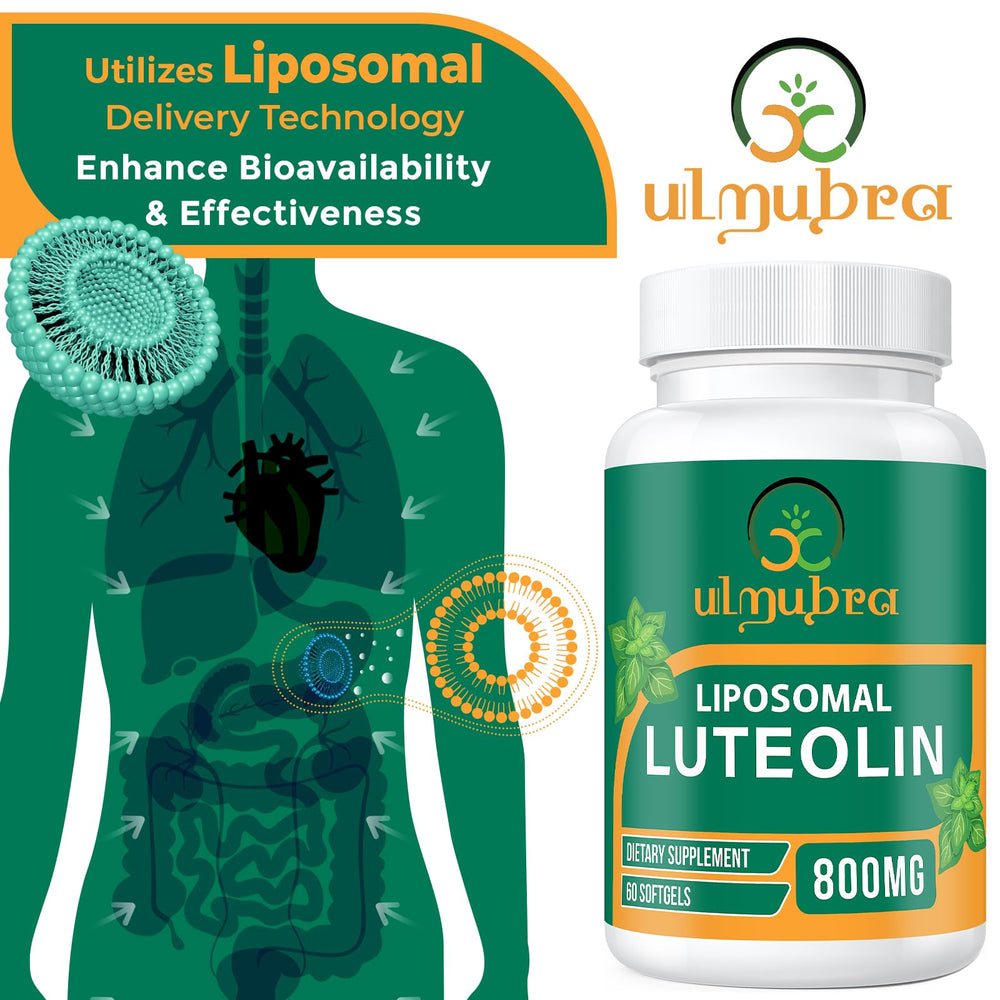 Ulmubra representación de liposomas para mayor absorción y estabilidad