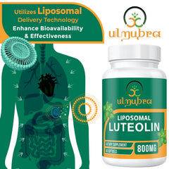 Ulmubra representación de liposomas para mayor absorción y estabilidad