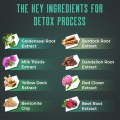 Ultraverixian ingredientes botánicos que apoyan limpieza natural