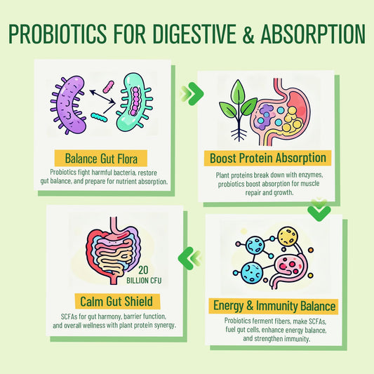 Porción Ultraverixian 30 g vainilla lista para batidos energizantes.