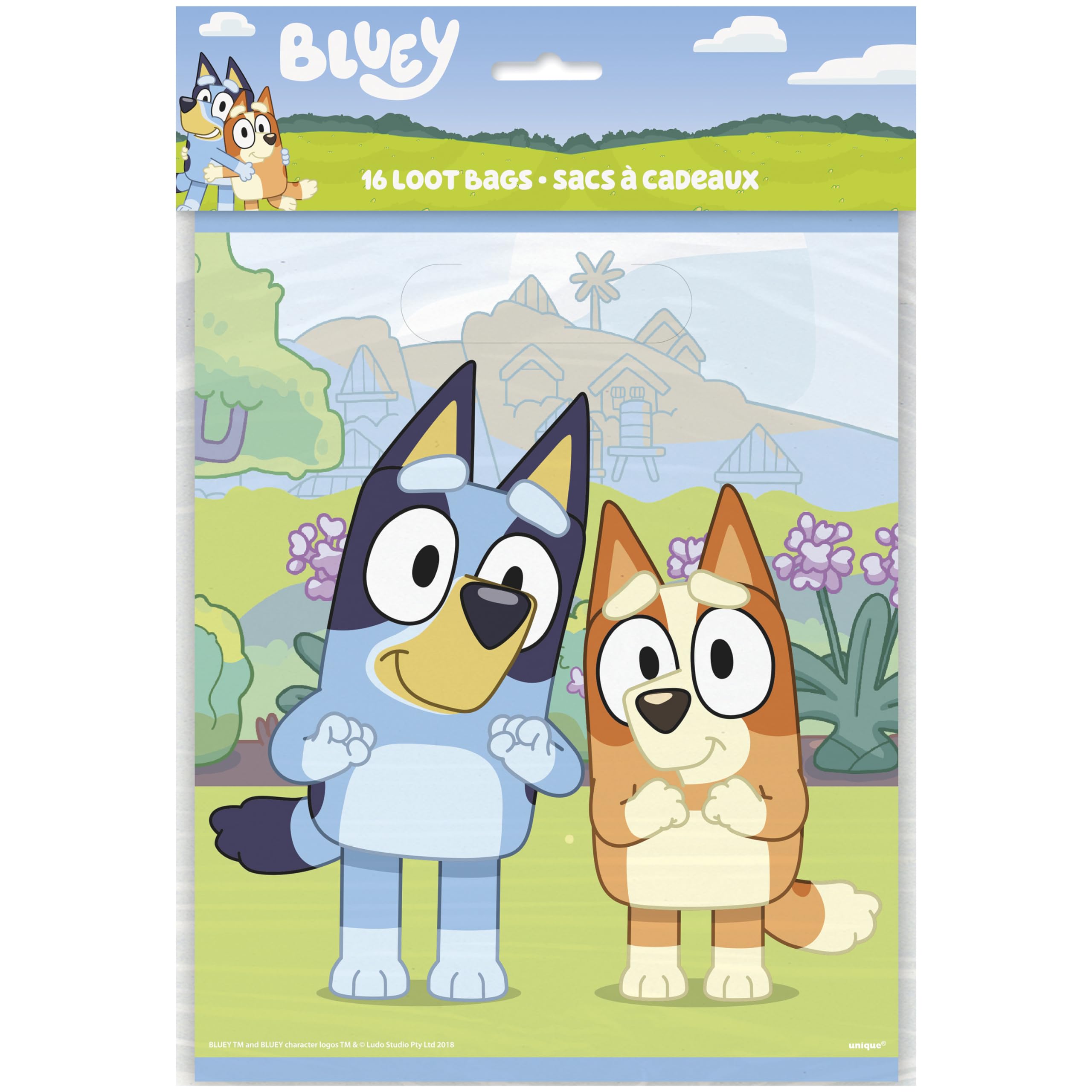 Unique Bluey comparación de tamaño junto a objetos para visualizar capacidad