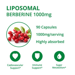 UpNourish cápsulas veganas en primer plano, textura y confianza en pureza